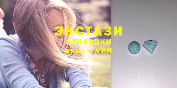 стаф Чекалин