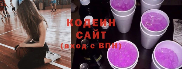гидра Гусь-Хрустальный