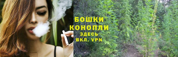 гидра Гусь-Хрустальный