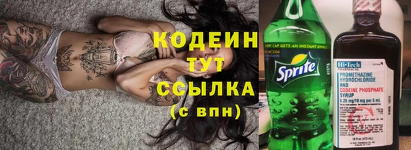 гидра Гусь-Хрустальный