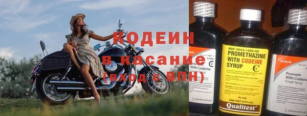 гидра Гусь-Хрустальный