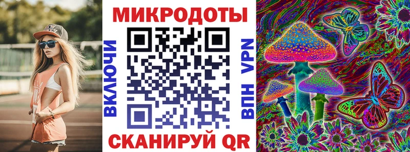ОМГ ОМГ сайт  Жуков  Псилоцибиновые грибы мицелий 